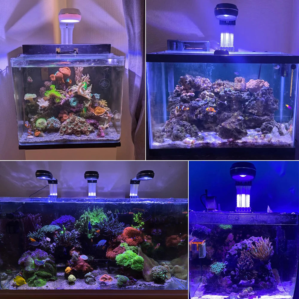 PopBloom-Marine Aquarium Light 60W/100W, Reef Aquarium LED Lamp for 30-70cm Reef Coral SPS LPS Saltwater Tank